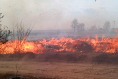 В Новосибирской области бушуют пожары