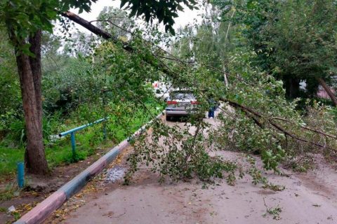 В Новосибирской области объявлено штормовое предупреждение