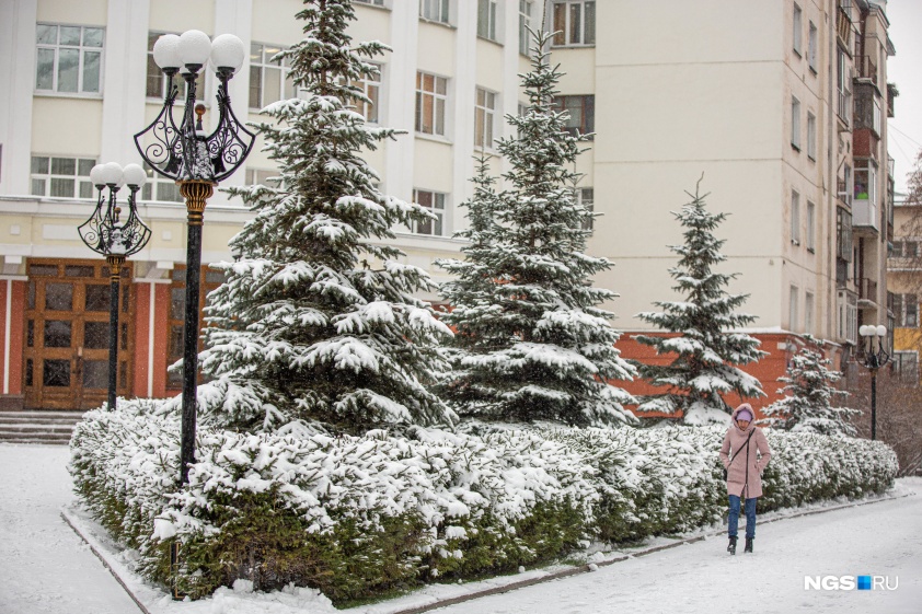 Снег в новосибирске сегодня фото