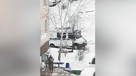 Новосибирская пенсионерка выпала из окна и разбилась насмерть