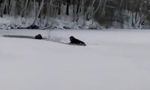 Провалившегося под лёд рыбака спасли под Новосибирском