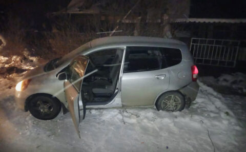В Новосибирске арестовали подростков, избивших женщину-таксистку