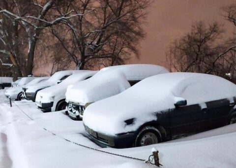 В Новосибирске машины завалило снегом после ночного снегопада