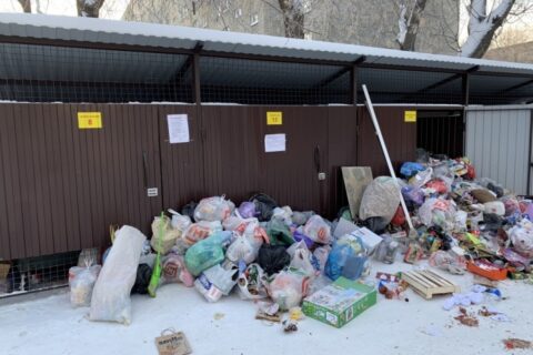 В Новосибирске выделили дополнительные мусоровозы для уборки новогоднего мусора