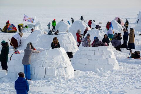 Жилища эскимосов строили в Новосибирске