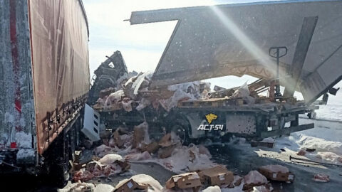 Водитель грузовика погиб в аварии на новосибирской трассе