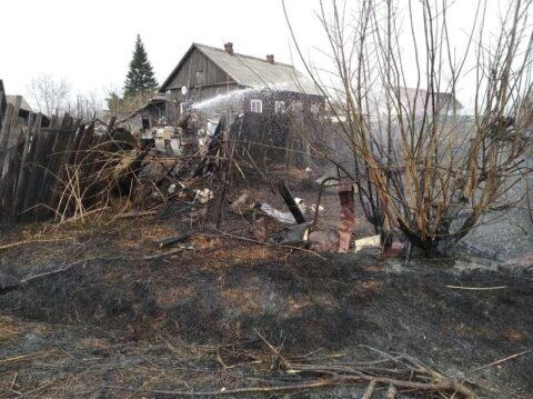 В Новосибирске из-за сухой травы за два дня случилось 149 пожаров