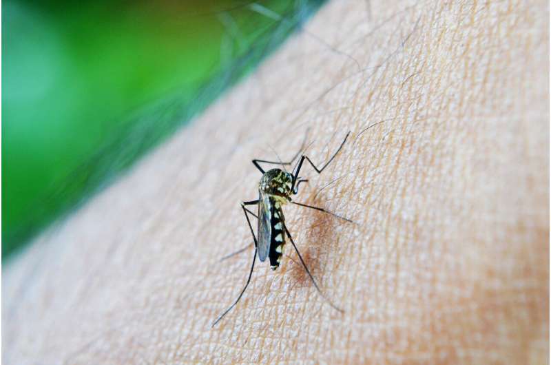 Новые сведения об иммунном ответе на малярию