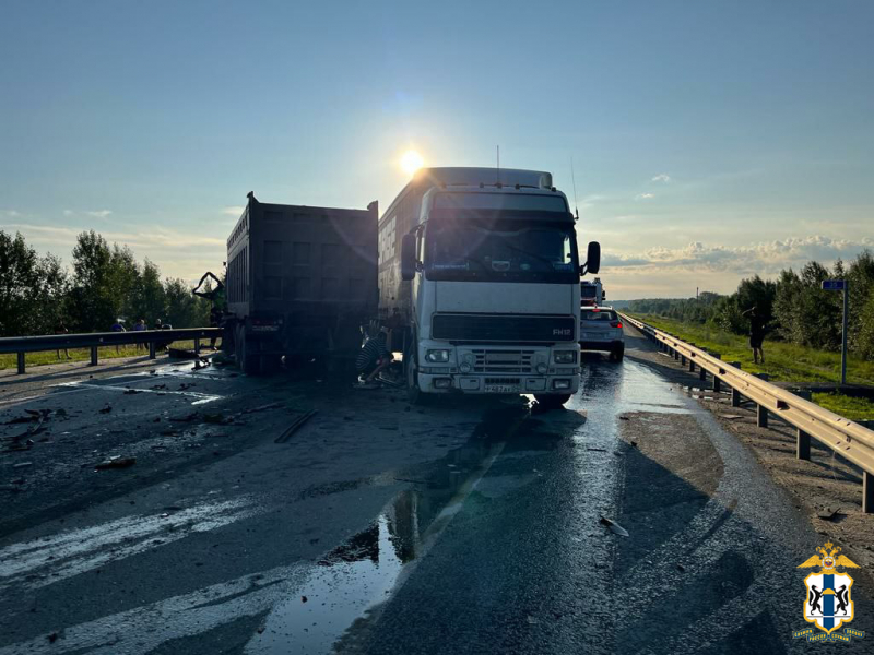 Новосибирская область: один человек погиб в ДТП с тремя грузовиками