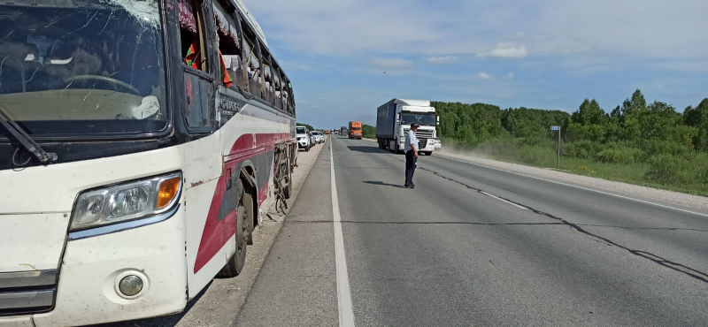 В ДТП с автобусом на трассе в Новосибирской области погиб ребенок