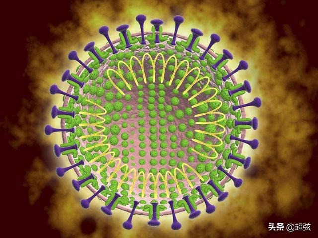 «НГС»: Вирусолог предупредил о новой волне коронавируса SARS-CoV-2