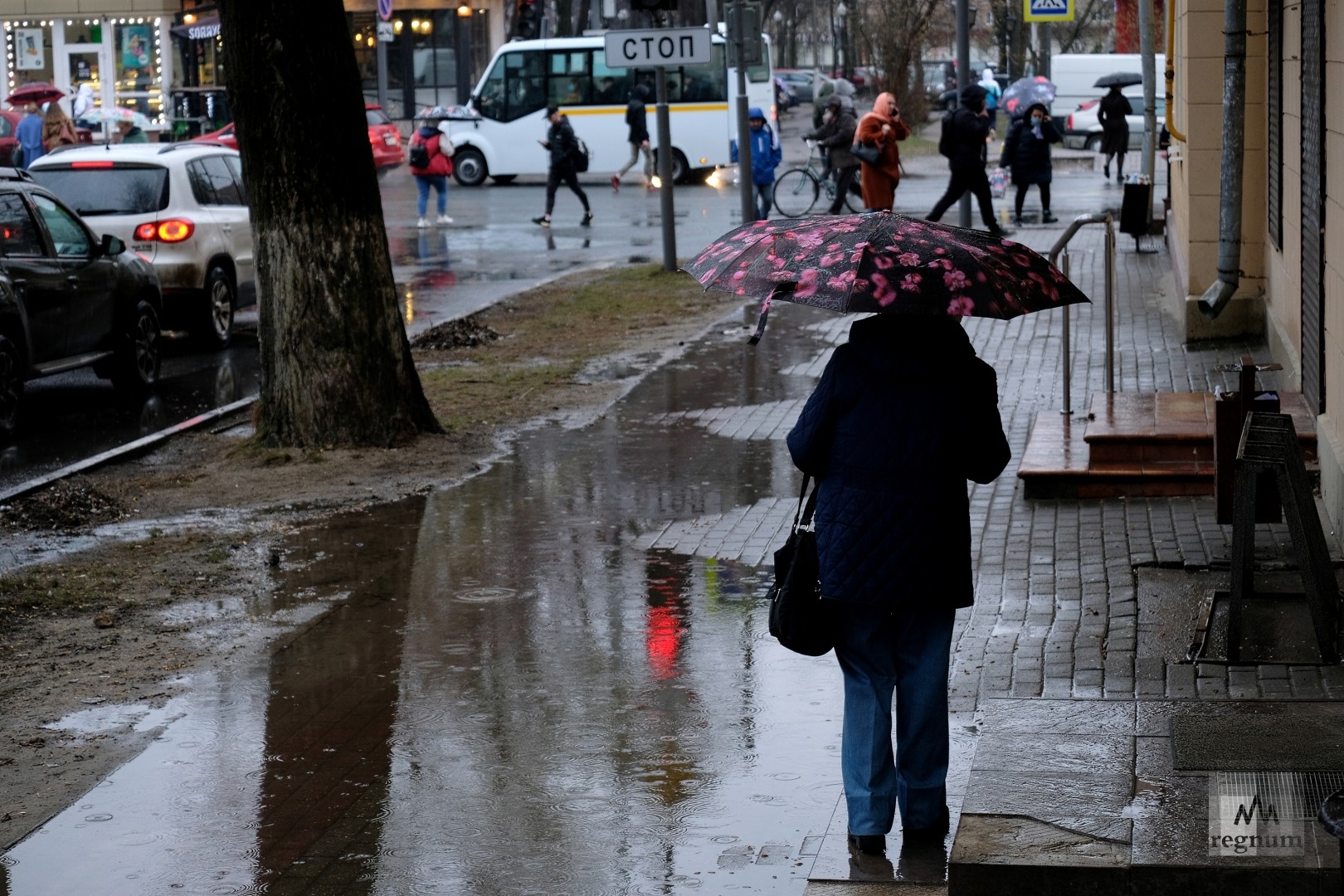 «НГС»: на протяжении трех дней жителей Новосибирска ждут дожди