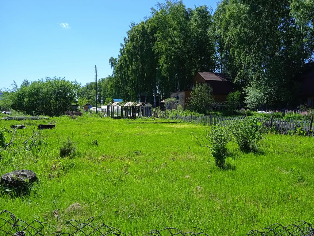 Мэрия Новосибирска назвала условия предоставления бесплатного участка земли