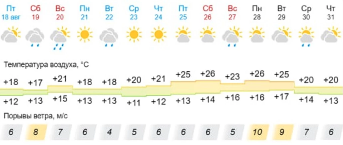 «НГС»: синоптики пообещали жителям Новосибирска тепло до +26 градусов