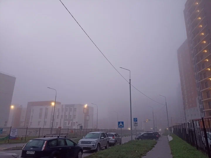 Синоптики: на Новосибирск надвигается туманная, но жаркая погода