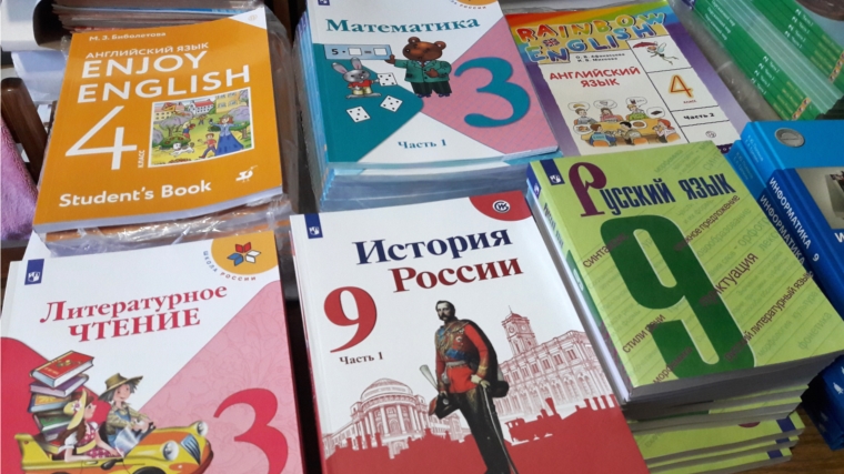 Школы Новосибирска ежегодно тратят на закупку новых учебников до 3,5 млн рублей