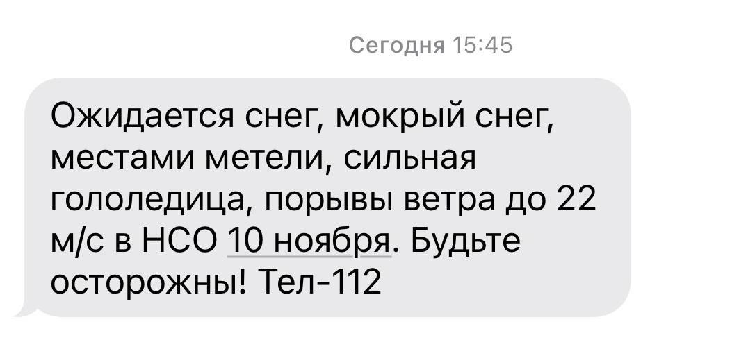 МЧС предупредило новосибирцев о сильном ветре и метели 10 ноября