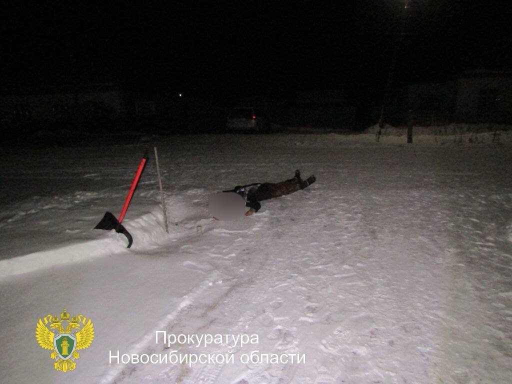 Жителя Новосибирской области обвиняют в убийстве из-за ревности