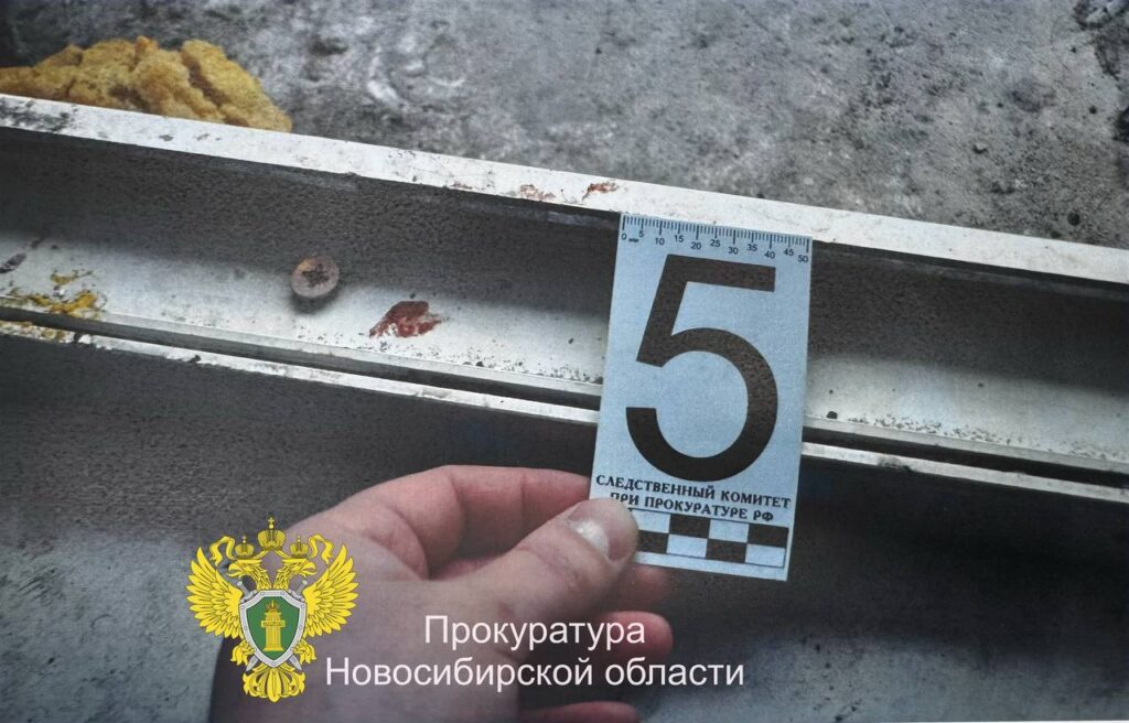 В Новосибирске начался суд над мужчиной по делу об убийстве семьи в 2014 году