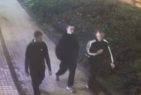 В Новосибирске разыскивают подозреваемых в уличном грабеже