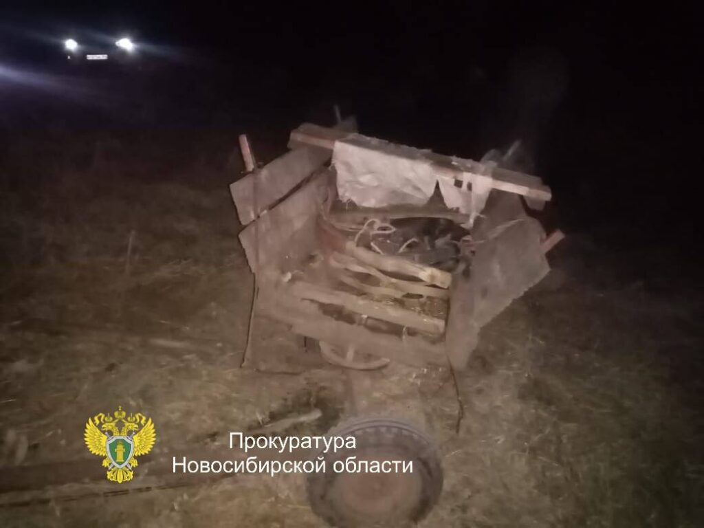 В Убинском районе после столкновения с повозкой погиб юный мотоциклист