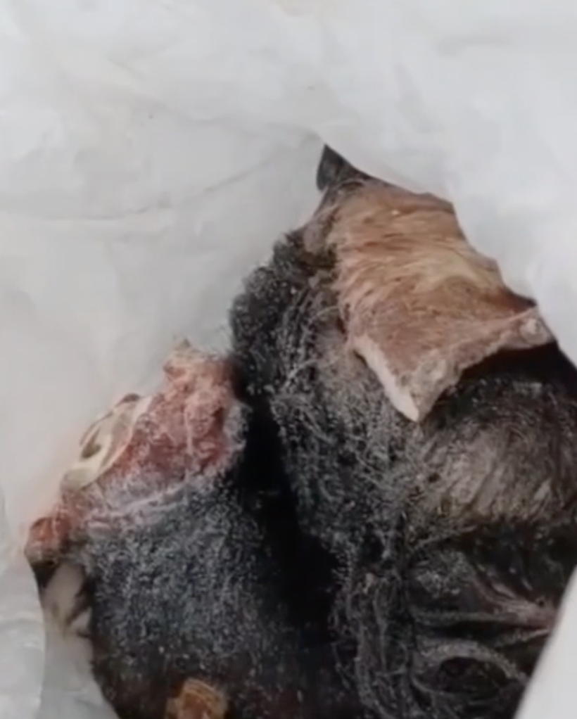 Нелегальные скотобойни обнаружены у жилого массива Хилка